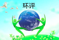 環(huán)境影響評價文件涉及弄虛作假等行為的，需要承擔哪些后果？